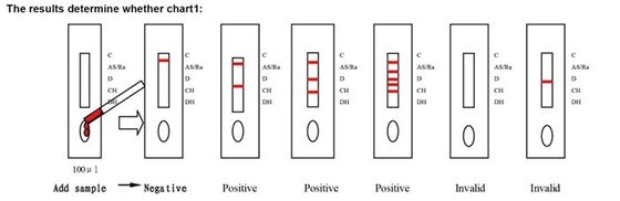 Alerjen Özel IgE Antibody'nin Evde Alerjenler İçin Kendini Test Et
