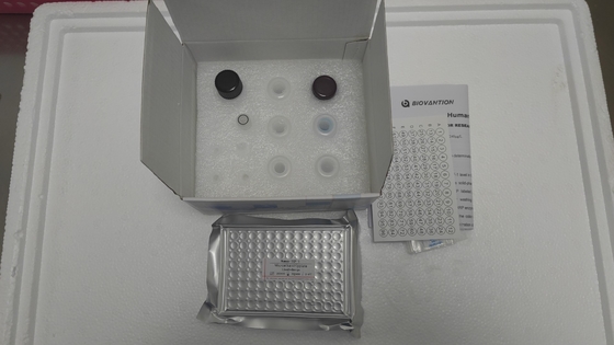 İnsan insülin benzeri büyüme faktörü-1 ELISA Kit Sadece Araştırma Kullanımı/IGF-1 Elisa Kit