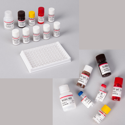 İnsan Pro-BNP Elisa Kit / Pro-Brain Natriüretik Peptid Elisa Kit
