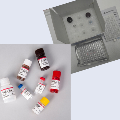 96T ile insan MEPI Elisa Kit
