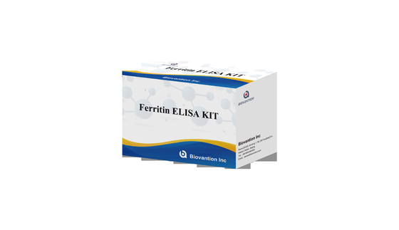 Ferritin ELisa test kiti Hızlı Serum Duyarlılığı Elisa Test Biovantion 2-3 Saat Test Zamanı 2-8.C Depolama