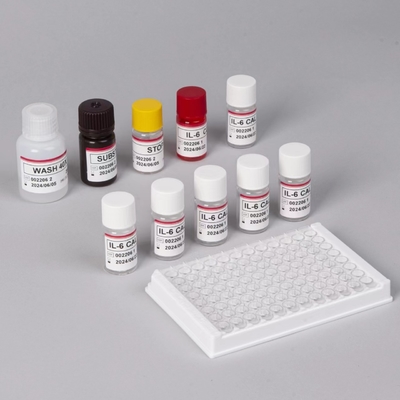 IL-6 Interleukin 6 Elisa Test Kits 2-3 Saat Test Zamanı Biovantion Serum / Plazma Formatu 18 Aylık Kalıcılık