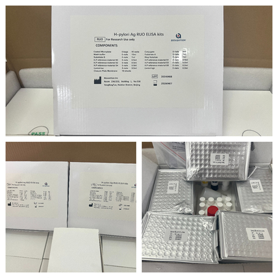 H Pylori ELISA Test Kits 480test/kit Elisa Tarama Kits Sonuçları