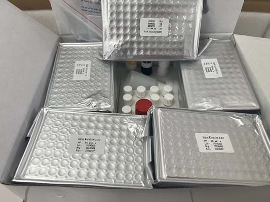 H Pylori ELISA Test Kits 480test/kit Elisa Tarama Kits Sonuçları