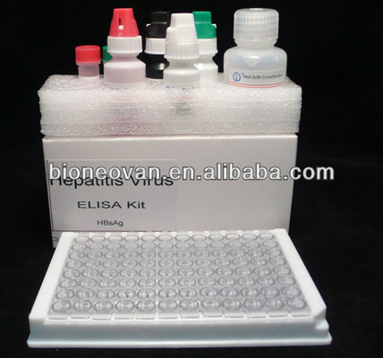 Enzim Bağlı İmmunosorbant Test Kits ile 2-3 Saat İçinde Doğru HBsAg Tanısı