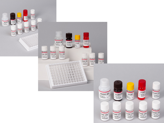 Laboratuvar veya hastane yüksek hassasiyetli insan ferritini FE ELISA test kiti