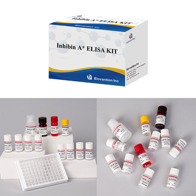 Laboratuvar veya Hastane Yüksek hassasiyetli Inhibin A Diagnostik Elisa Test Kits