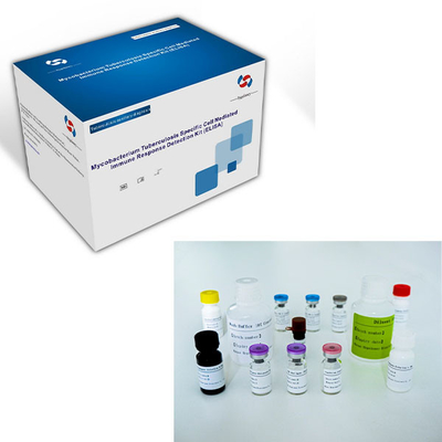 Uzun raf ömrü ve 2C-8C koruma yöntemi ile TB-IGRA ELISA test kitini kullanmak kolaydır.