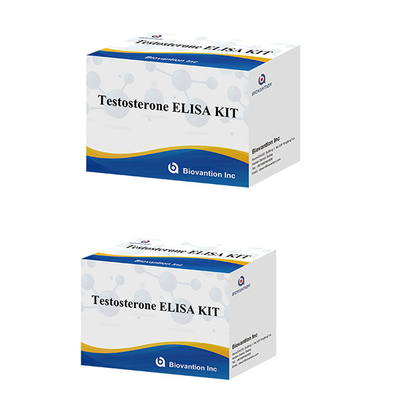 Erkek Cinsel Hormonlar Testosteron Hormonlar Kvantitatif Elisa Test Kiti Teşhis İçin