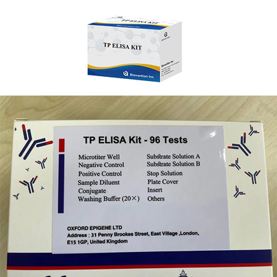 Erkek ve Kadın Enfeksiyonu Yüksek Sifilis TP Ab Antibody ELISA Test KIT