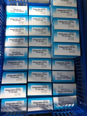 Anti-TP Treponema Pallidum ELISA Test Kütesi Serum / Plazma Tıbbi Tanısı