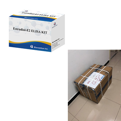 Laboratuvar veya hastane için yüksek hassasiyetli estradiol Elisa Test Kits