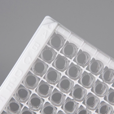 Hastaneler Laboratuvarlar Klinikler Progesteron Kullanmak Mide Immunoassay ELISA TEST KIT