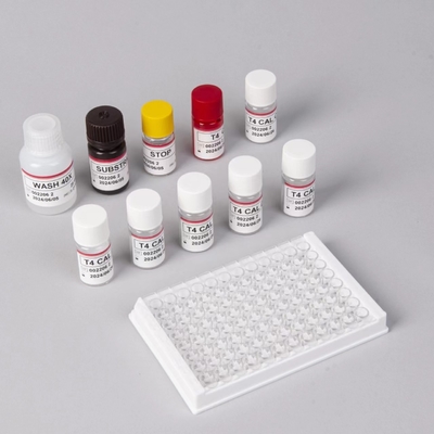 Genellikle kullanılan tiroid hormonu testi T4 Triiodothyronine ELISA TEST KIT