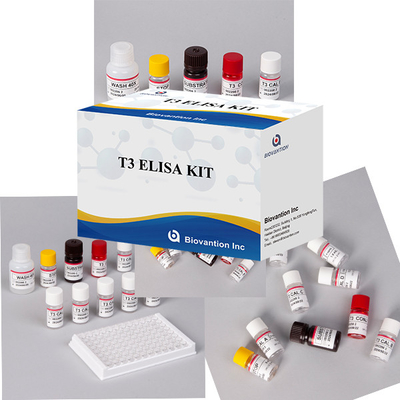 Laboratuvar Hastanesi Klinik yaygın olarak kullanılan T3 Triyodothyronine ELISA Test KIT