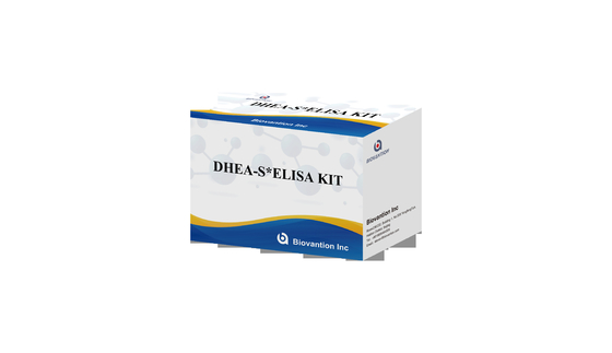 Yüksek Duyarlılık Vitro Diagnostik Reagent IVD DHEA-S Elisa Test Kiti