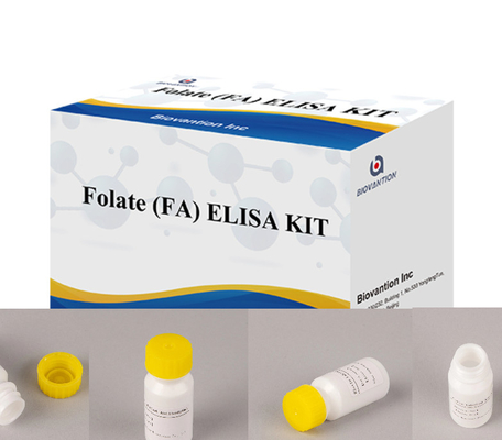 Enzim Bağlı Bağışıklık Yüksek Duyarlılık Reagansları Folat Elisa Test Kits