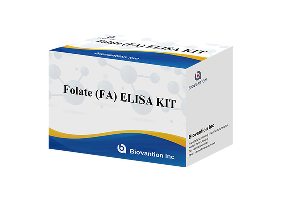Enzim Bağlı Bağışıklık Yüksek Duyarlılık Reagansları Folat Elisa Test Kits