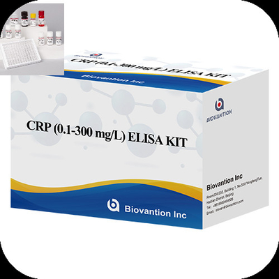 Enzim Bağlı Bağlanmaz Yüksek Duyarlılık Rejanları C Reaktif Protein CRP Elisa Test Kiti