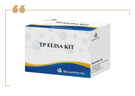 96T Bulma Solüsyonu Sifilis Antibody Enzim Bağlı Immunoassay Elisa Test Kits