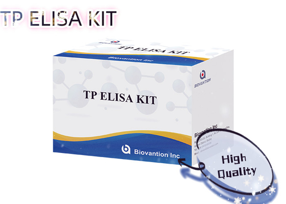 96T Bulma Solüsyonu Sifilis Antibody Enzim Bağlı Immunoassay Elisa Test Kits