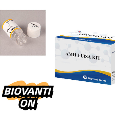 Anti-Mullerian Hormonu Elisa Test Kits AMH ELISA Immunoassay Deteksi Kits