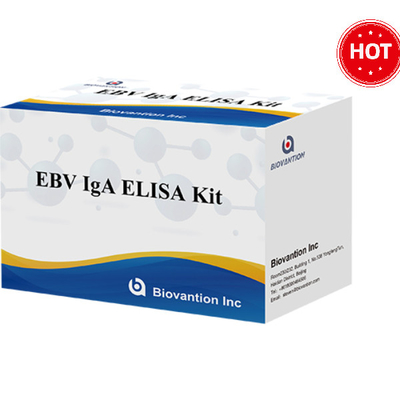 EBV-VCA IgA Ab ELISA Teat Kit Immunoassay Deteksi Kit