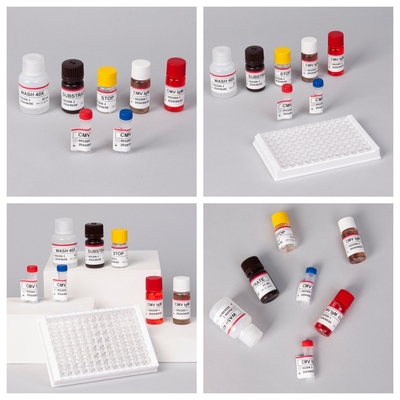 Enzim İmmünoazı Reagansları Cytomegalovirus CMV Antibodlarının tespiti için Elisa Test Kits