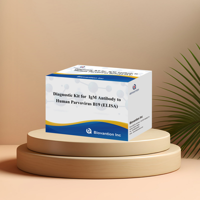 İnsan Parvovirus B19 IgM Antibody Elisa Test Kit 96T ile