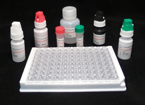 Yüksek Doğruluklı HBsAg Elisa Test Kütesi