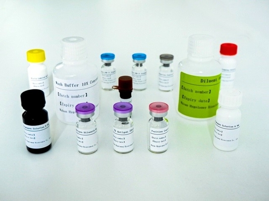 Mikobakteriyum Tuberkulosis Özel T Hücresi Vasıtasıyla Bağışıklık Yanıtının Bulunması Elisa Test Kiti