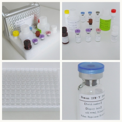Mikobakteriyum Tuberkulosis Özel T Hücresi Vasıtasıyla Bağışıklık Yanıtının Bulunması Elisa Test Kiti