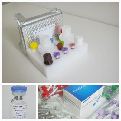 Mikobakteriyum Tuberkulosis Özel T Hücresi Vasıtasıyla Bağışıklık Yanıtının Bulunması Elisa Test Kiti