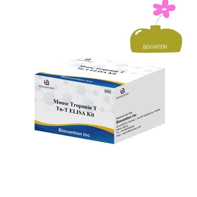 ELISA Deteksi Reagent Kit Yüksek hassasiyetli Troponin I (( CTnl)) Test Elisa Test Kit Hastane Kullanımı