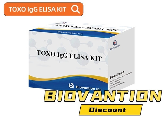 TOXO Ig G Hastalık İzleme için Duyarlı ve Spesifik Elisa Test Seti