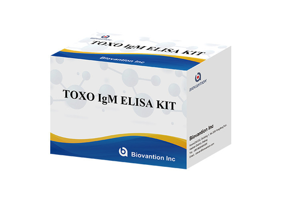 TOXO Ig G Hastalık İzleme için Duyarlı ve Spesifik Elisa Test Seti
