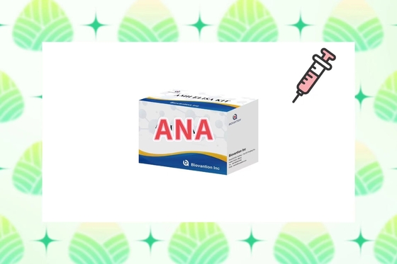 Duyarlılık ANA Ekranı Serum/Plazma tespiti için IgG Elisa Test Kits 2-8°C