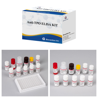Duyarlı Tiroid peroksidaz antikorları Elisa Test Kit insan teşhisi için