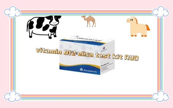 B12 Vitamini Elisa Test Kits Of Enzim Bağlı Ürün Araştırma Sadece Hayvan Deneyi