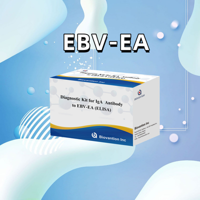 2-8°C'ye Duyarlılık Diagnostik Kütesi EBV-EA ELISA Test Kütesi için IgA Antibolu