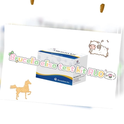 Brucella elisa test kiti RUO Enzim Bağlı Ürün Test Kiti Sadece Hayvan testi kullanın