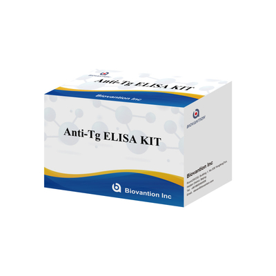 Elisa İnsan Antitirooglobulin Antibody Anti-Tg Hastane ve Laboratuvar için Diagnostic Kit