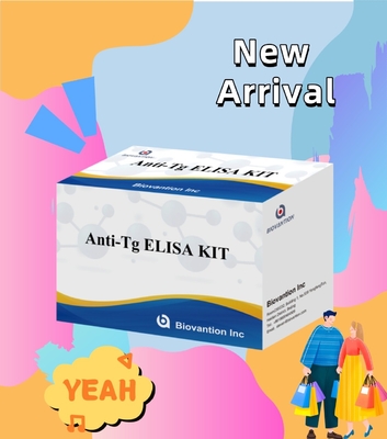 Elisa İnsan Antitirooglobulin Antibody Anti-Tg Hastane ve Laboratuvar için Diagnostic Kit