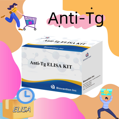 Elisa İnsan Antitirooglobulin Antibody Anti-Tg Hastane ve Laboratuvar için Diagnostic Kit