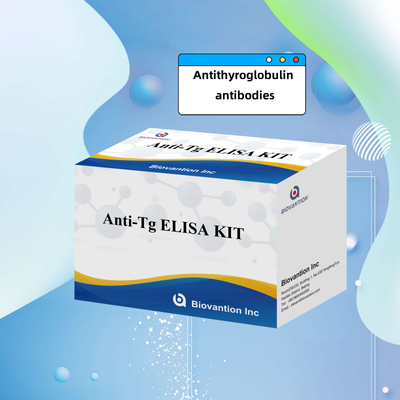 Elisa İnsan Antitirooglobulin Antibody Anti-Tg Hastane ve Laboratuvar için Diagnostic Kit