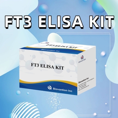 FT3 İnsan Diagnostik Rejanları için Serbest Triyodothyronine 96T ELISA Testiyle Klinik Hastane Laboratuvarı