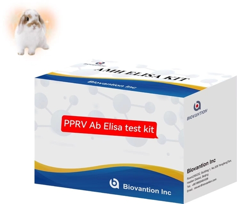 Peste Des Petits Ruminantlar PPRV Ab ELISA Kütesi Veteriner Test Kütesi