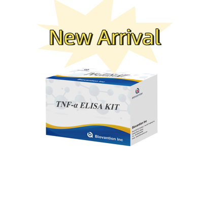 TNF-α RUO Serum Plazma için Elisa Test Araştırma için doğru ve uygun teşhis çözümü