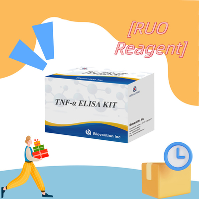 TNF-α RUO Serum Plazma için Elisa Test Araştırma için doğru ve uygun teşhis çözümü
