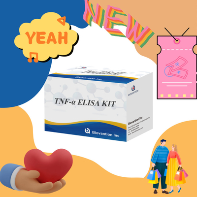 TNF-α RUO Serum Plazma için Elisa Test Araştırma için doğru ve uygun teşhis çözümü